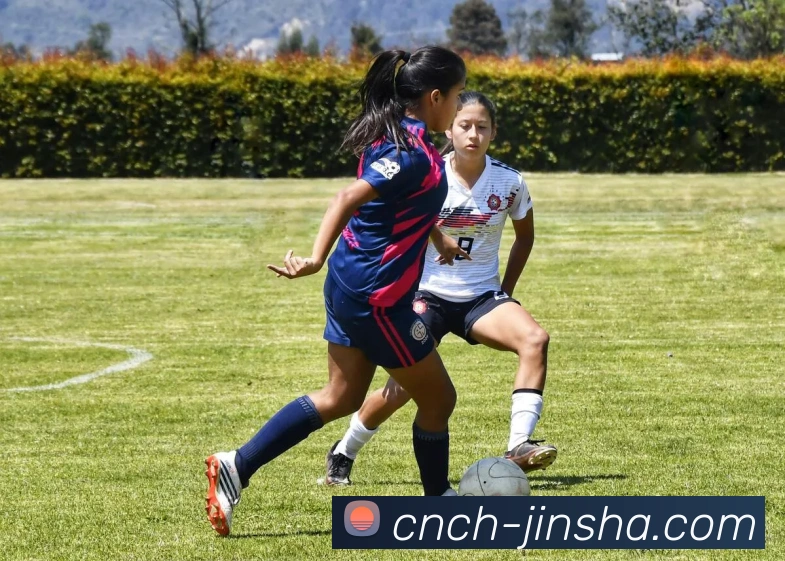 App Interface Preview